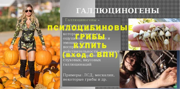 круглые Краснослободск