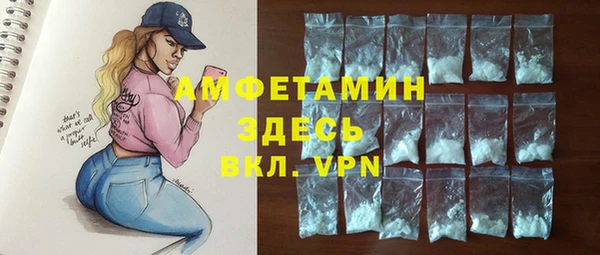 индика Корсаков
